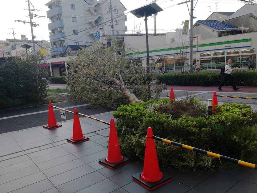 台風