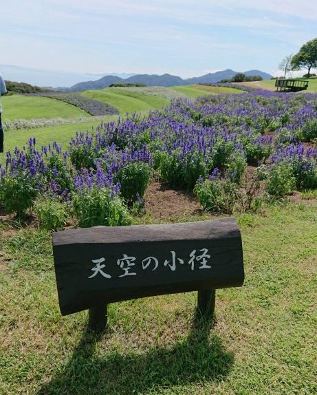 淡路島へ🚘