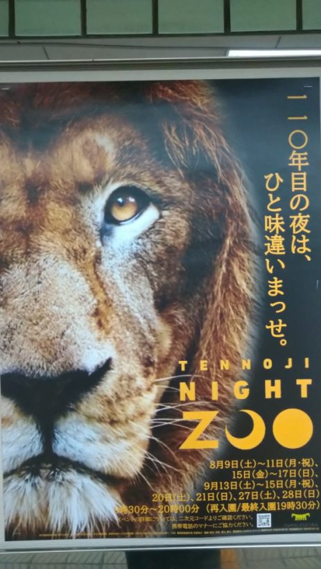 ＮＺに行ってみた