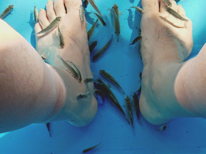 一泊旅行（ホテル内にて）