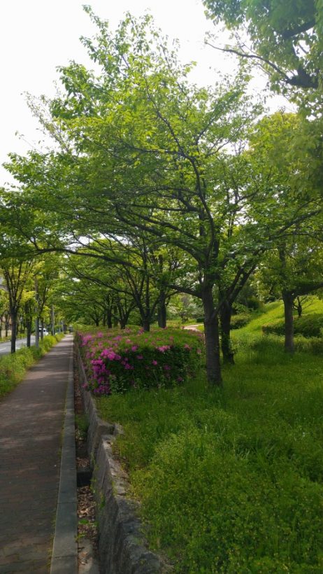 町の風景inOsaka④
